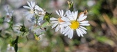 Enlarge photo 108