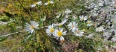Enlarge photo 97