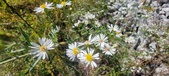 Enlarge photo 94