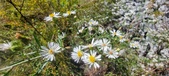 Enlarge photo 92