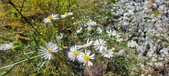 Enlarge photo 91