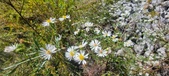 Enlarge photo 90