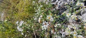 Enlarge photo 89