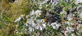 Enlarge photo 88