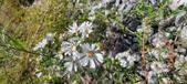 Enlarge photo 87