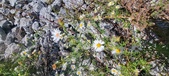 Enlarge photo 86