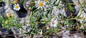 Enlarge photo 83