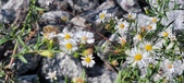 Enlarge photo 82