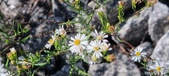 Enlarge photo 81