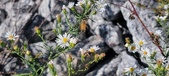 Enlarge photo 80