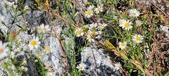 Enlarge photo 79