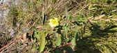 Enlarge photo 69