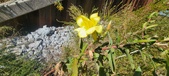 Enlarge photo 68