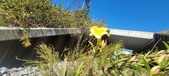 Enlarge photo 66