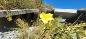 Enlarge photo 65