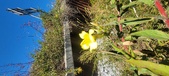 Enlarge photo 64