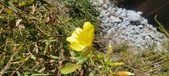 Enlarge photo 63