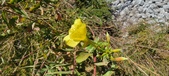 Enlarge photo 62