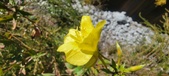Enlarge photo 61