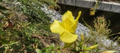 Enlarge photo 57