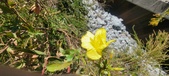 Enlarge photo 58