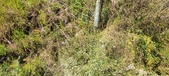 Enlarge photo 59