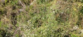 Enlarge photo 60