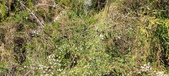 Enlarge photo 56