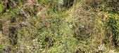 Enlarge photo 55