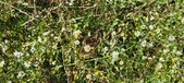 Enlarge photo 54