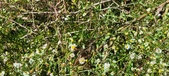 Enlarge photo 53