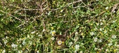 Enlarge photo 52