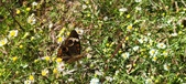 Enlarge photo 48