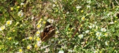 Enlarge photo 47