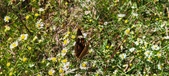 Enlarge photo 46