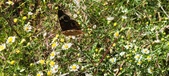 Enlarge photo 44