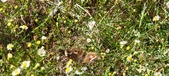 Enlarge photo 43