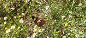 Enlarge photo 42