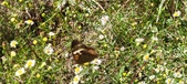 Enlarge photo 40
