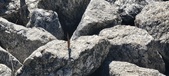 Enlarge photo 38