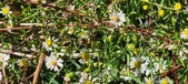 Enlarge photo 36