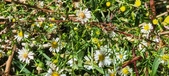 Enlarge photo 35