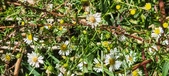 Enlarge photo 34