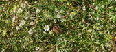 Enlarge photo 28