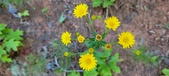 Enlarge photo 116