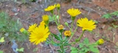 Enlarge photo 117