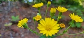 Enlarge photo 115