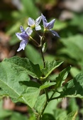 Enlarge photo 14
