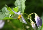 Enlarge photo 20