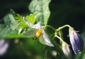 Enlarge photo 21